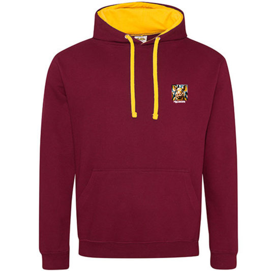 Hoodie multicolor unisex / Pigcasso