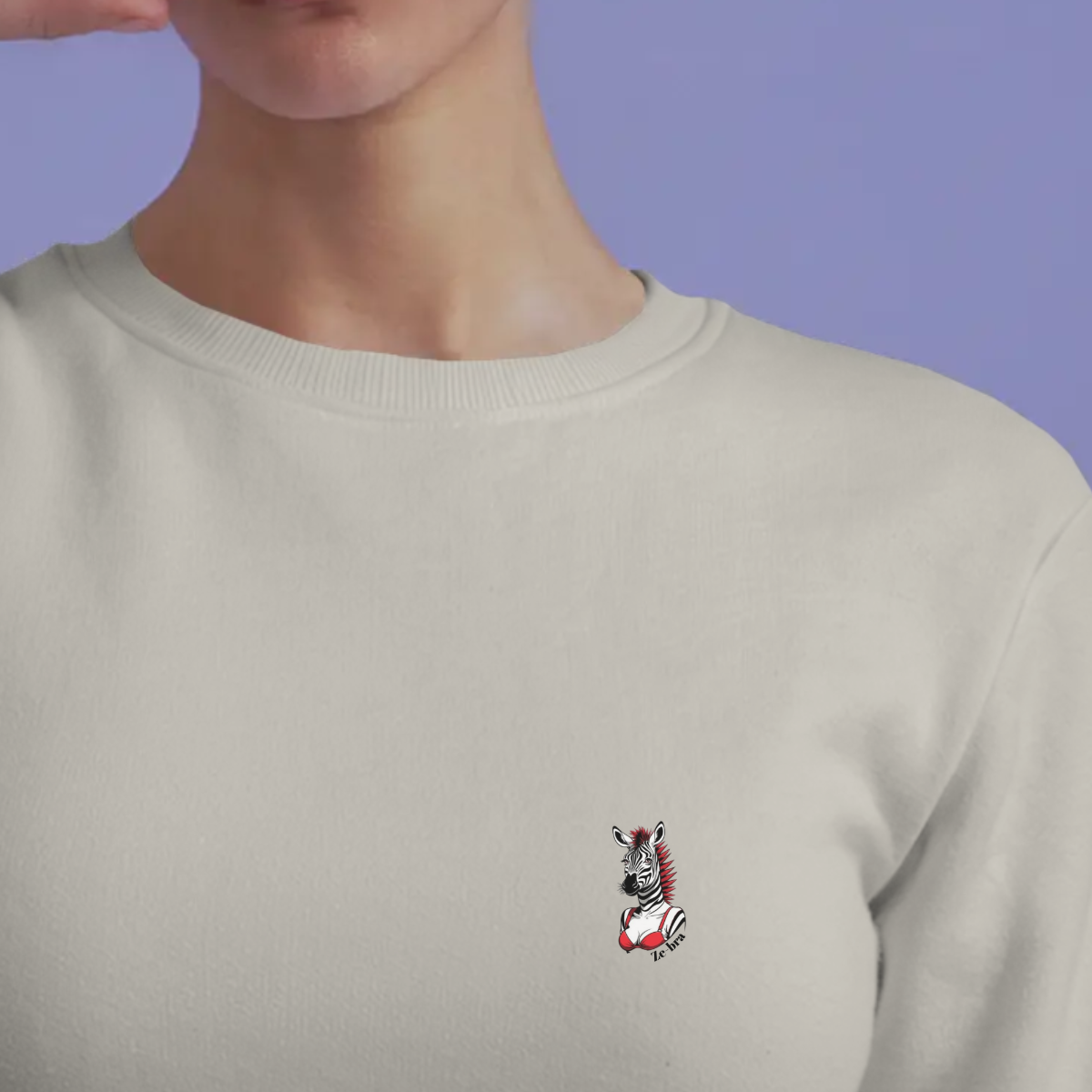 Sweater dames - Ze-bra