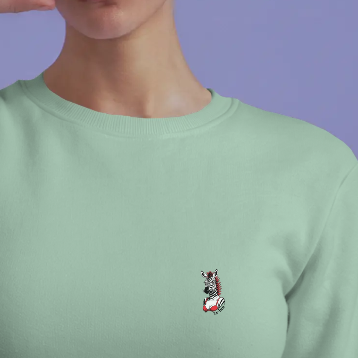Sweater dames - Ze-bra