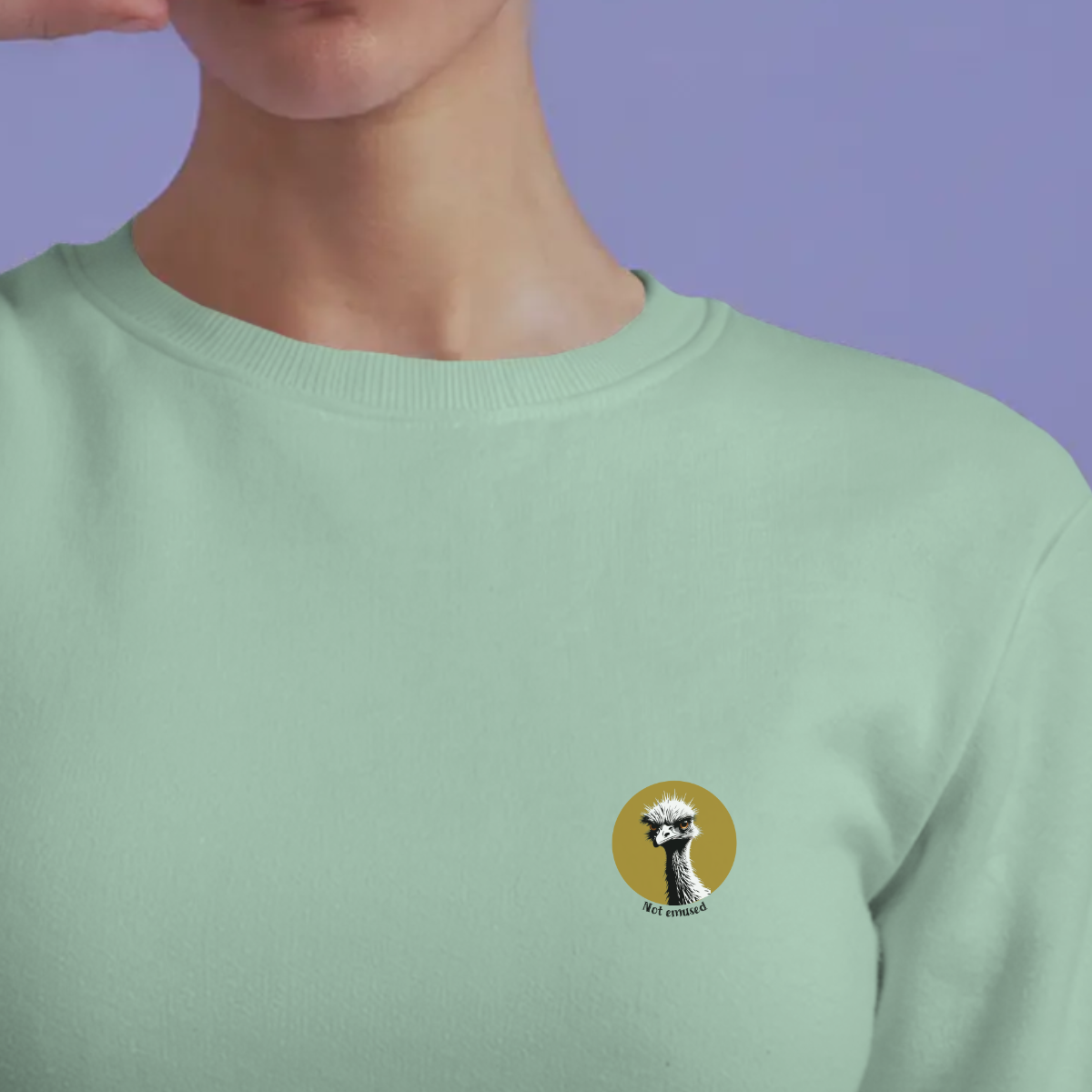 Sweater dames - Not emused