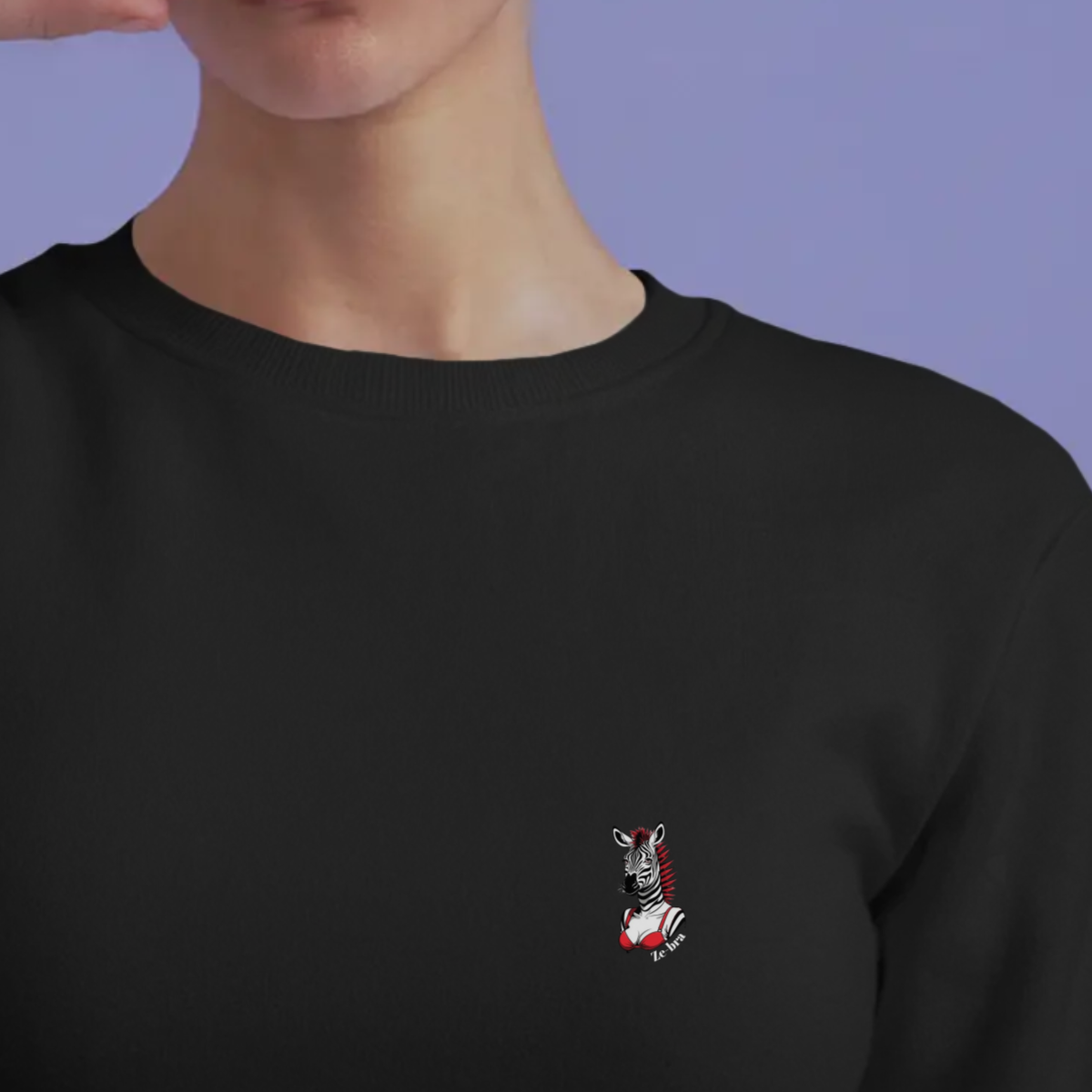 Sweater dames - Ze-bra