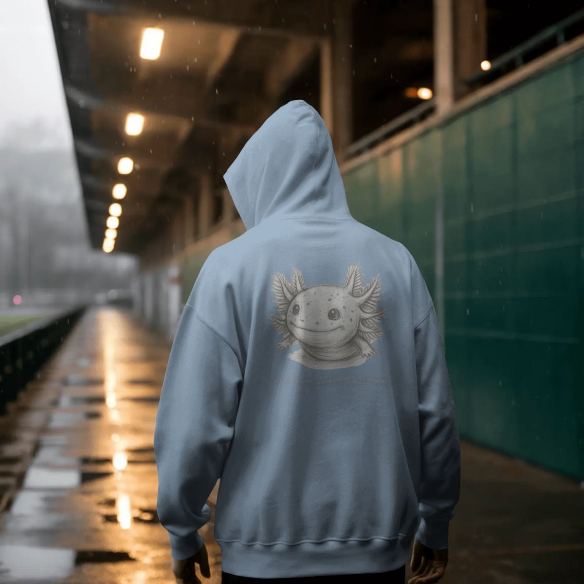 Hoodie unisex - You axolotl questions