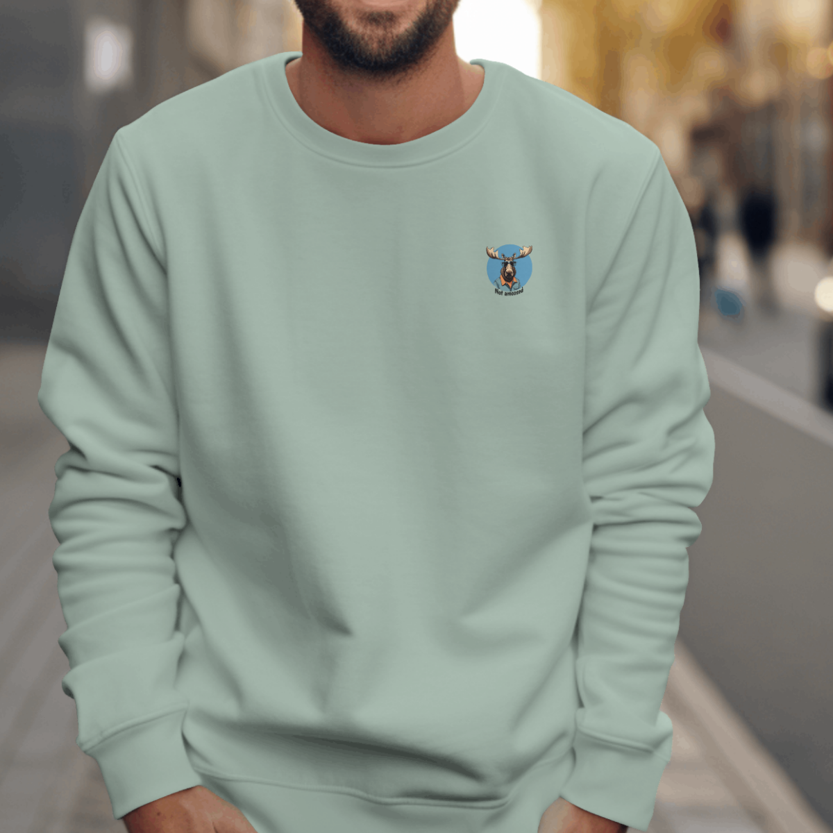 Sweater heren - Not amoosed