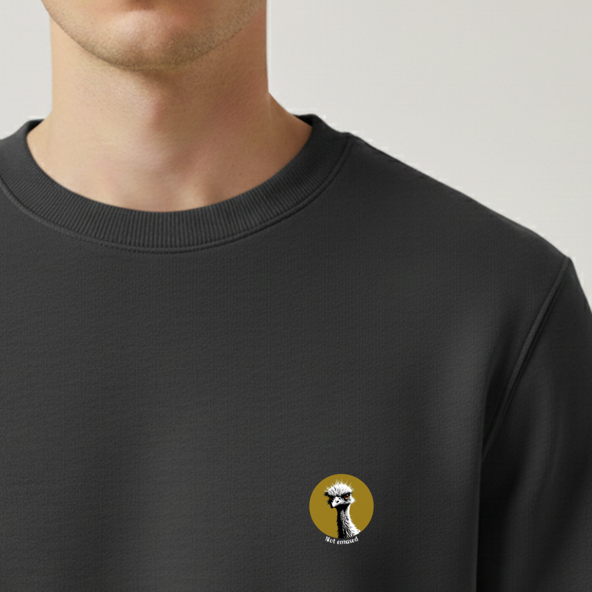 Sweater heren - Not emused