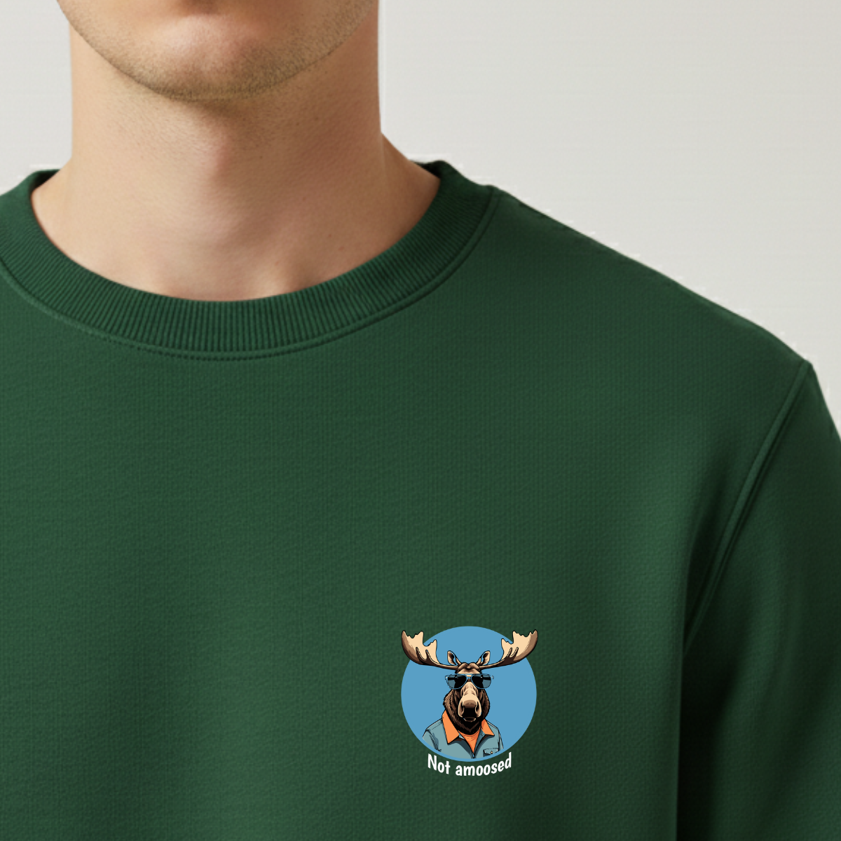 Sweater heren - Not amoosed