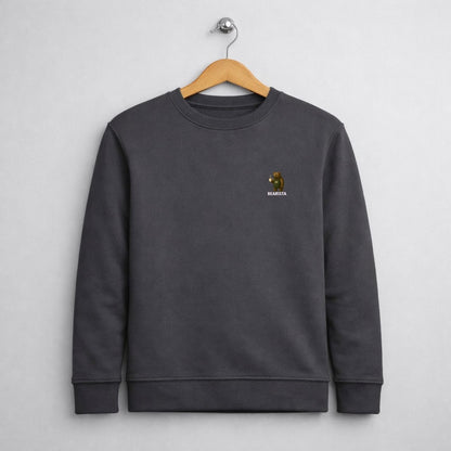 Sweater heren - Bearista